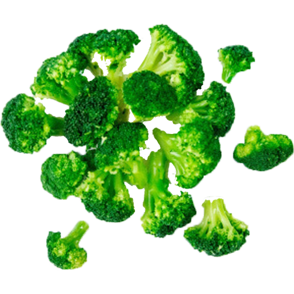 «POLTINO» broccoli «POLTINO» broccoli