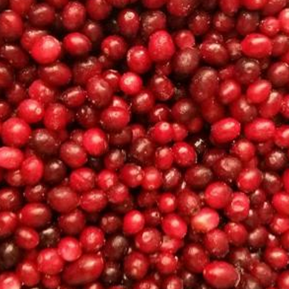 «KRASKI LETA» garden cranberry «KRASKI LETA» garden cranberry