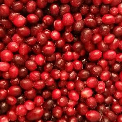«KRASKI LETA» garden cranberry